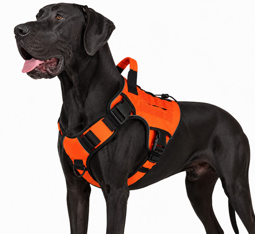 Taktisches hundegeschirr mit - hundegeschirr,