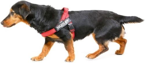 Julius 16idc r 2015 - julius-k9,, 16idc-m-r-2015