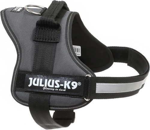 Julius power m - power,