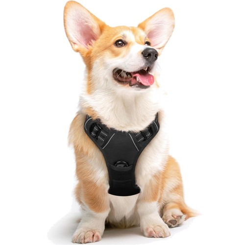 Hundegeschirr mittelgröße - hundegeschirr,