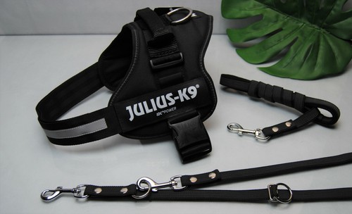 Set julius powergeschirr - julius-k9,
