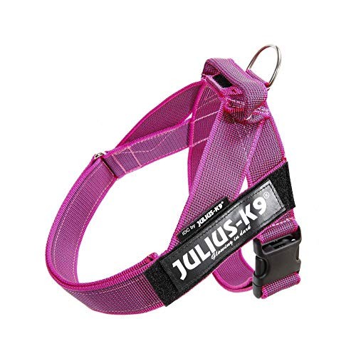 Julius idc color - &, gray