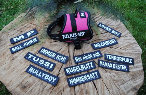 Julius powergeschirr pink - powergeschirr,