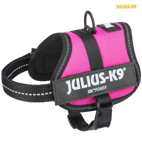 Julius powergeschirr pink - powergeschirr,