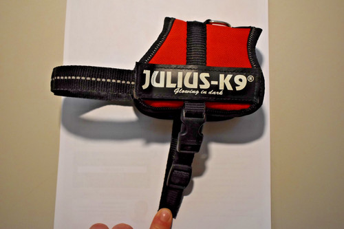 Julius baby - julius-k9, 2