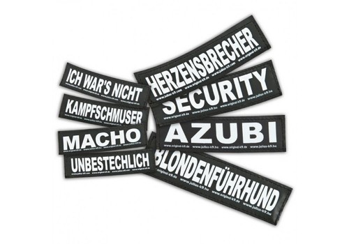 Klettlogo gross für julius - gross,
