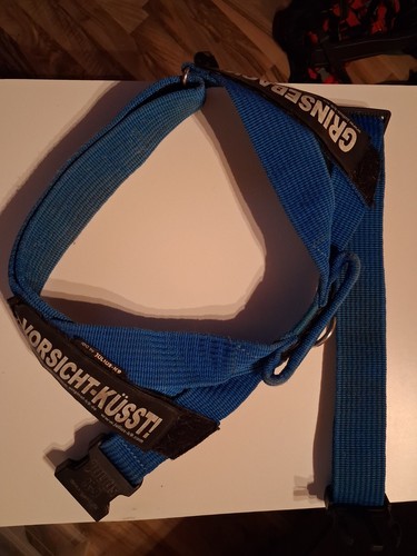 Julius brustgeschirr blau - k,