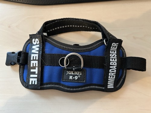 Julius geschirr - k9,