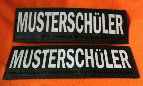 Musterschüler 16 cm - ⭐,