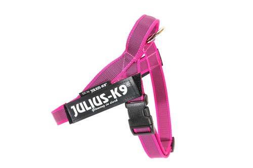 Julius idc color - color, &