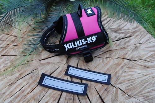 Julius powergeschirr pink - julius-k9,