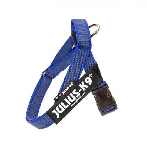Julius idc color gray - julius-k9,